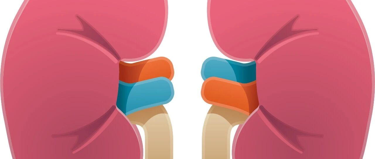 肾透患者“生命线”受阻 生死时速重开血管通路