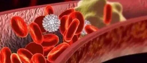 减肥和减脂 不是一码事