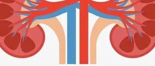 发病隐匿 这个沉默的器官你该如何呵护它