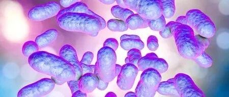 志贺氏菌究竟“何方神圣”