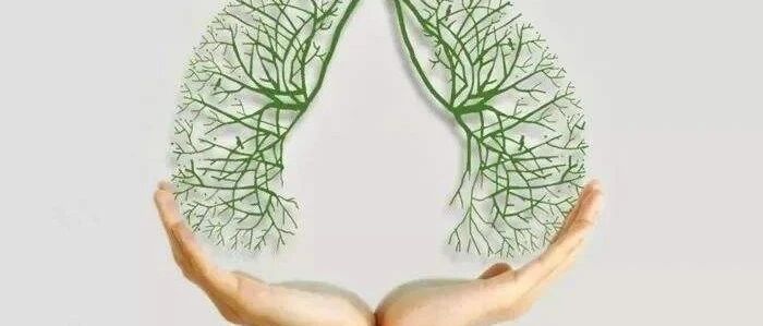 秋季养肺到底怎么养