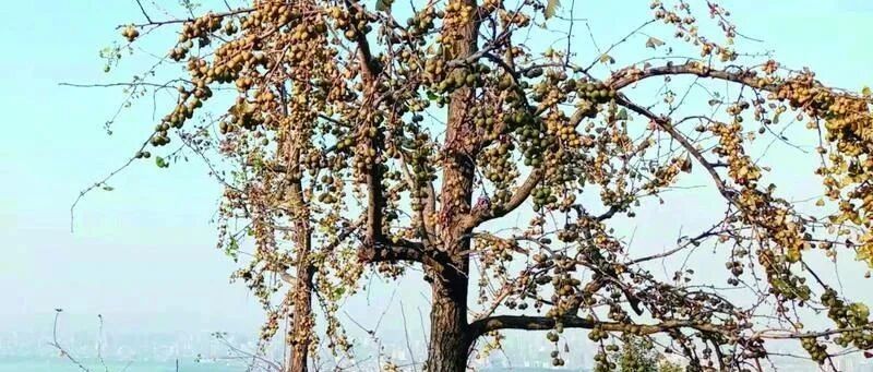 别陷入“悲秋综合征”