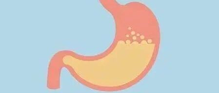 秋季护肠胃正当时