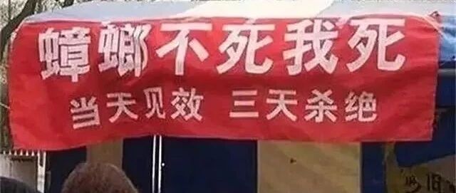 “高水平”标语！一个比一个高，笑掉大牙了！哈哈哈哈