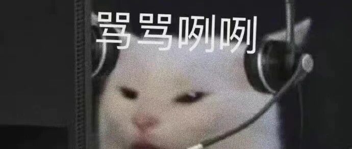 沙雕网友：求求大S再办一次婚礼？！哈哈哈全山头笋都被夺光了！