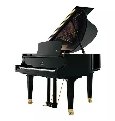 sauterdelta185三角钢琴轻易俘获你的心