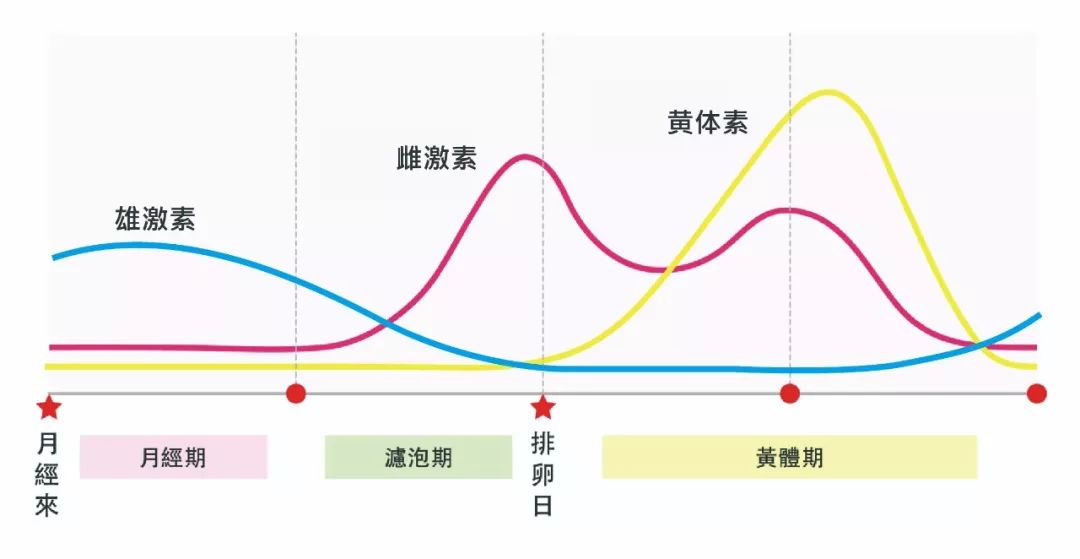 为什么女人30如狼40如虎50坐地 Yummy精选 微信公众号文章阅读 Wemp