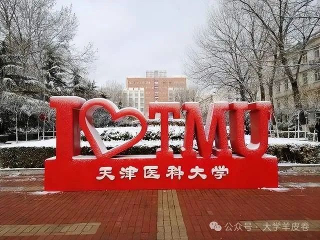 醫科大學全國排名_各大學醫科排名_全國大學排名醫學