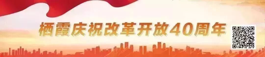聚焦进博会丨两大电子商务平台项目落户栖霞！