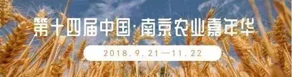 聚焦进博会丨两大电子商务平台项目落户栖霞！