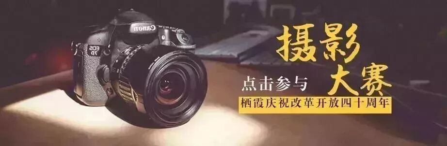 聚焦进博会丨两大电子商务平台项目落户栖霞！