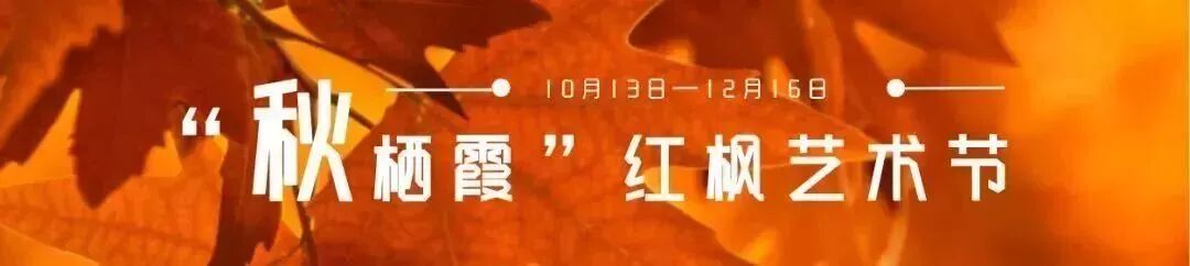 聚焦进博会丨两大电子商务平台项目落户栖霞！