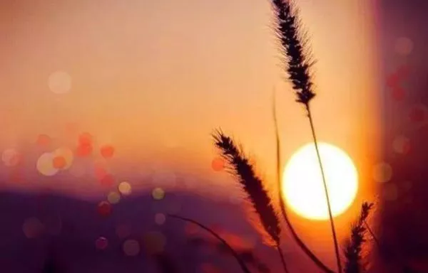 为什么五点起床,关乎性命 为什么五点起床,关乎性命