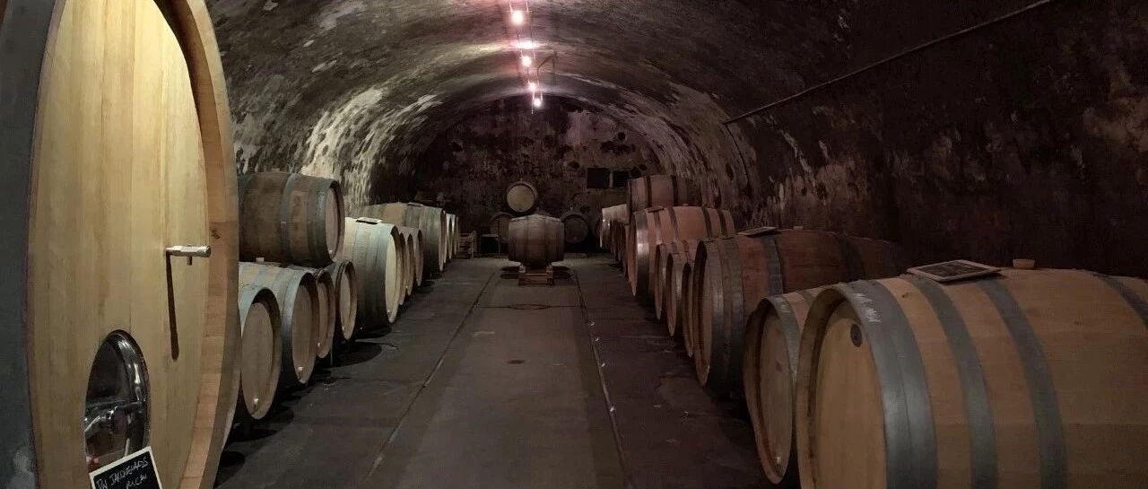 总有文章似酒香