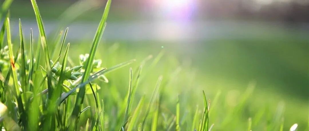 我们的美好未来，不会被偏见耽误