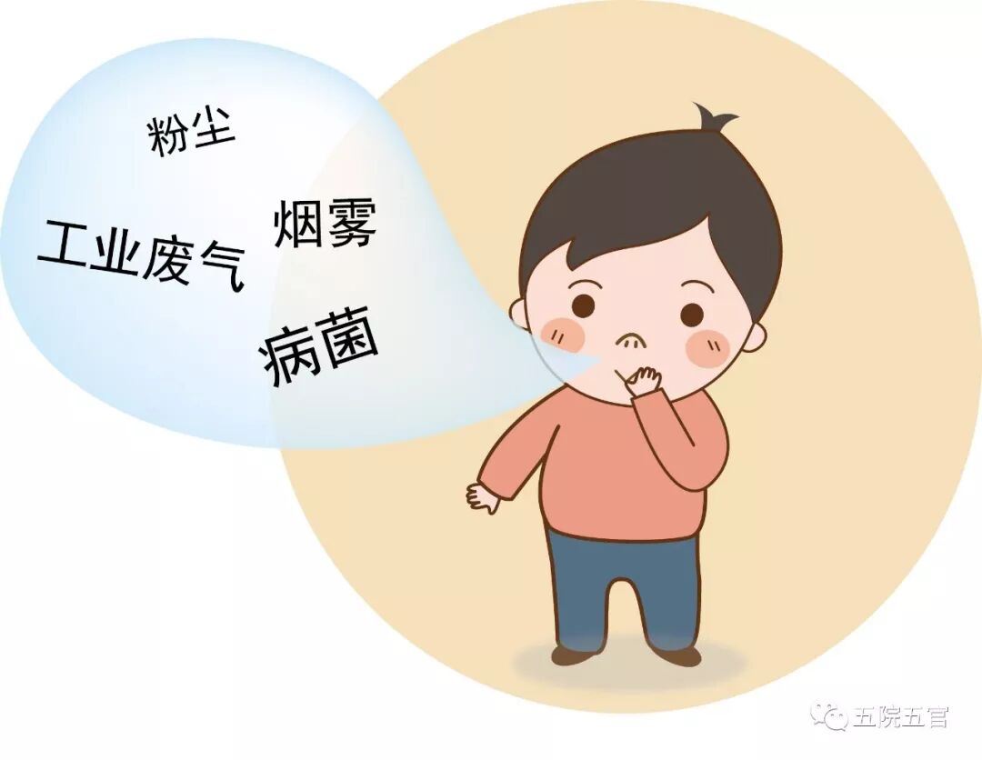 常见的鼻炎有哪些种类？