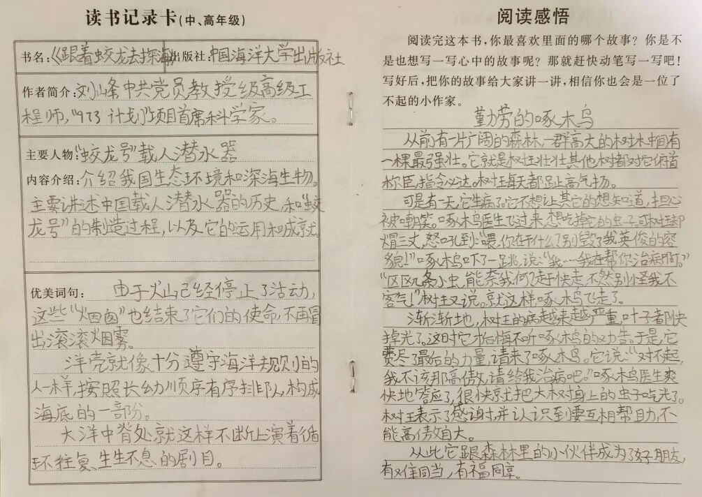 AD105怎么读【2024第(105)期】拓宽知识   启迪智慧之光——2024年上海市外高桥保税区实验小学暑假阅读活动_https://www.jmylbn.com_新闻资讯_第86张