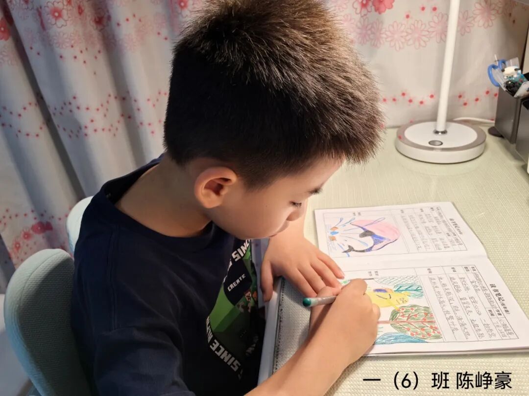 AD105怎么读【2024第(105)期】拓宽知识   启迪智慧之光——2024年上海市外高桥保税区实验小学暑假阅读活动_https://www.jmylbn.com_新闻资讯_第53张