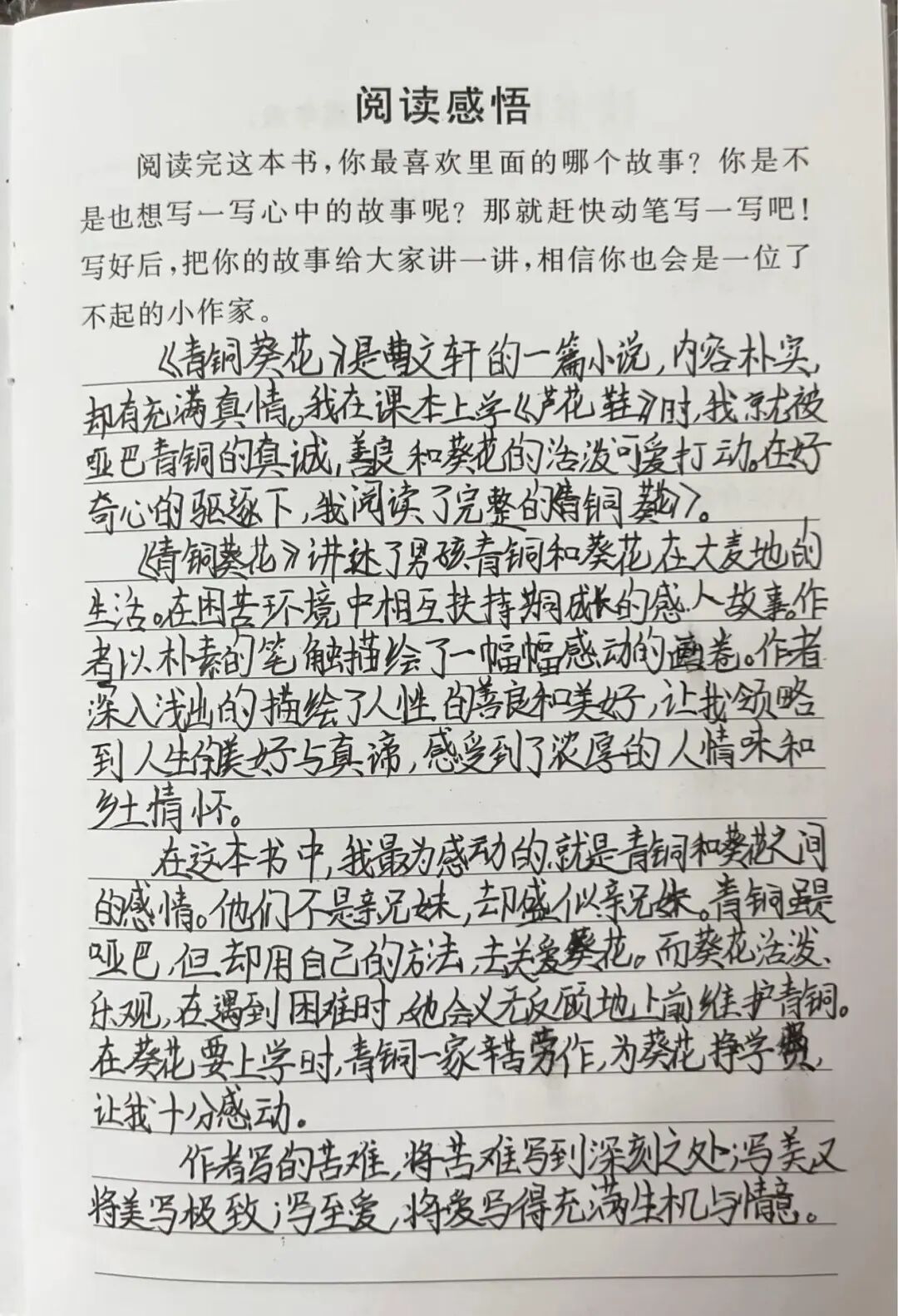 AD105怎么读【2024第(105)期】拓宽知识   启迪智慧之光——2024年上海市外高桥保税区实验小学暑假阅读活动_https://www.jmylbn.com_新闻资讯_第92张