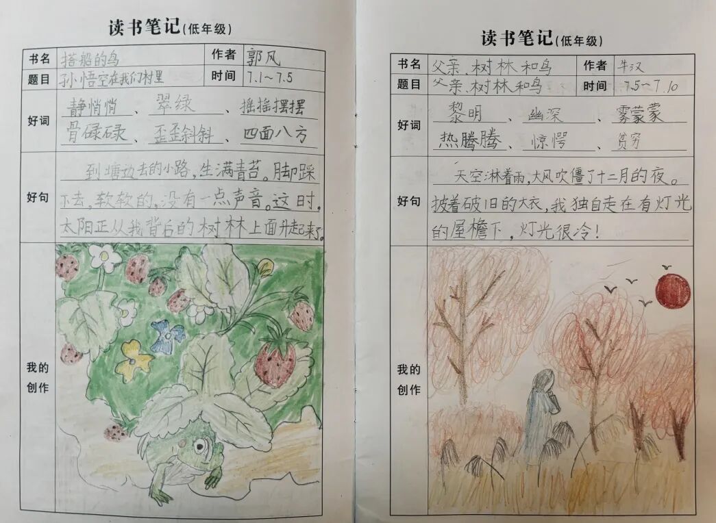 AD105怎么读【2024第(105)期】拓宽知识   启迪智慧之光——2024年上海市外高桥保税区实验小学暑假阅读活动_https://www.jmylbn.com_新闻资讯_第65张