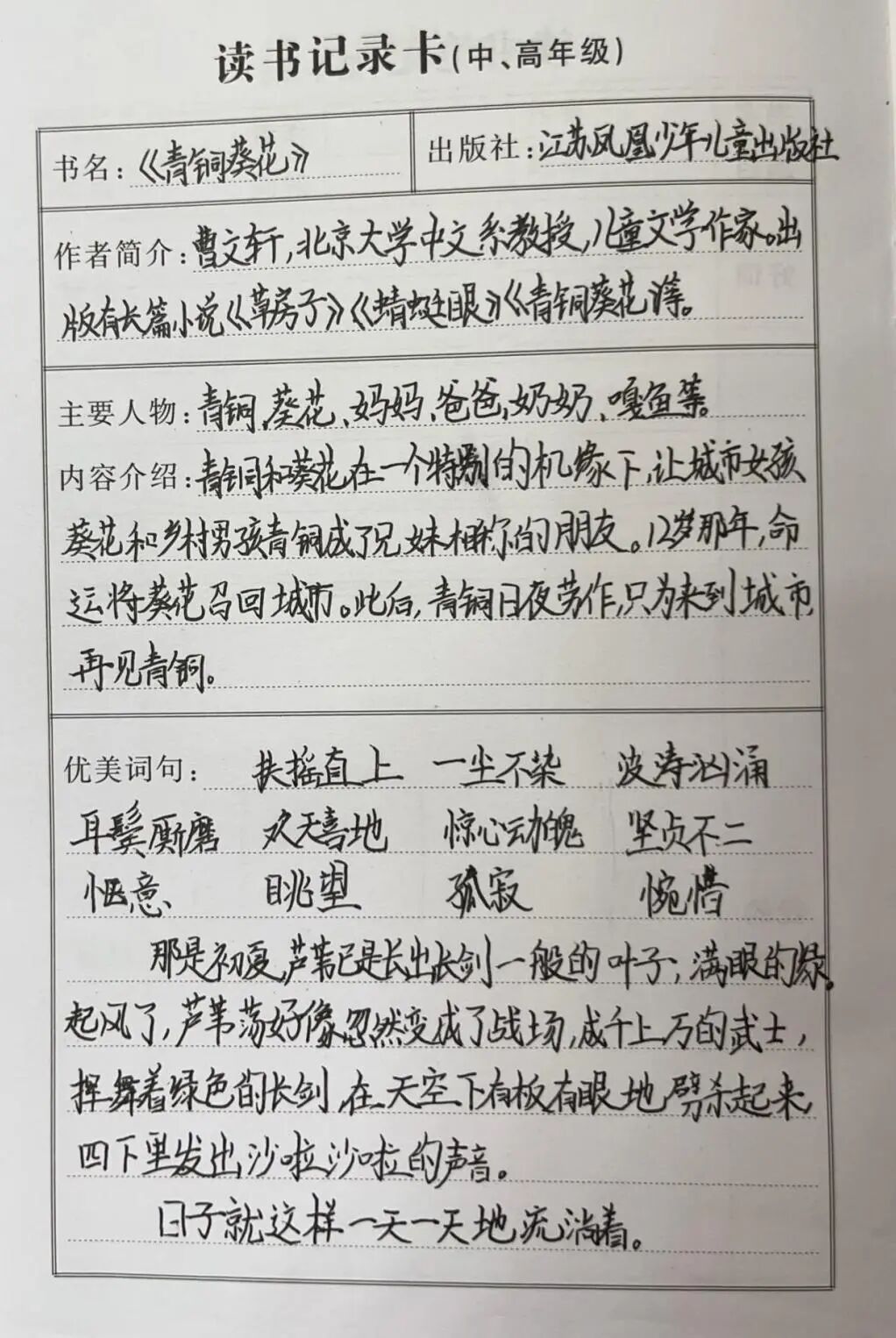 AD105怎么读【2024第(105)期】拓宽知识   启迪智慧之光——2024年上海市外高桥保税区实验小学暑假阅读活动_https://www.jmylbn.com_新闻资讯_第91张