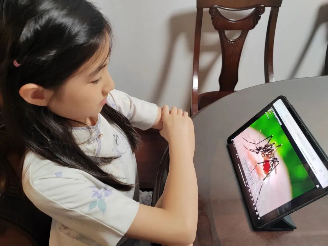 AD105怎么读【2024第(105)期】拓宽知识   启迪智慧之光——2024年上海市外高桥保税区实验小学暑假阅读活动_https://www.jmylbn.com_新闻资讯_第109张