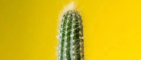 失去丁丁后，医生给他在手臂上"种"了一根