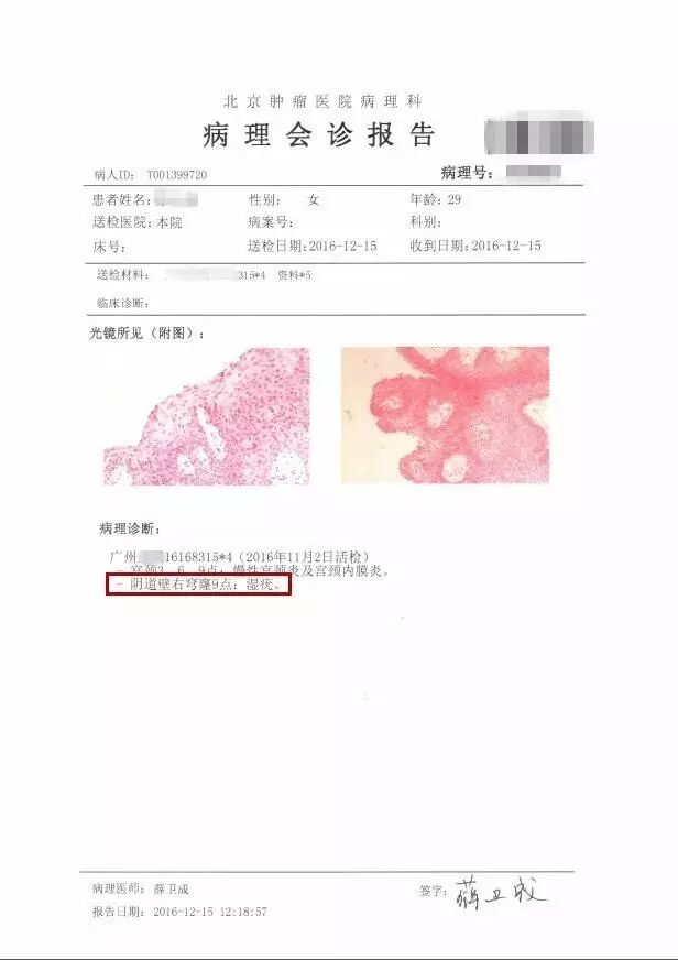 出处病理柳叶刀