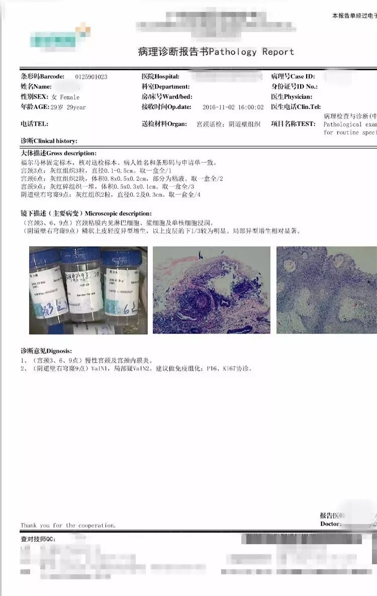 出处病理柳叶刀