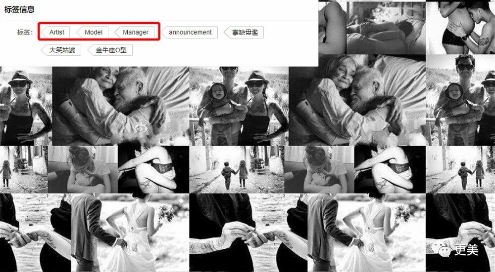 从方媛到潘玮柏女友，天王嫂竟有专门输送链？培养模式曝光（组图） - 37