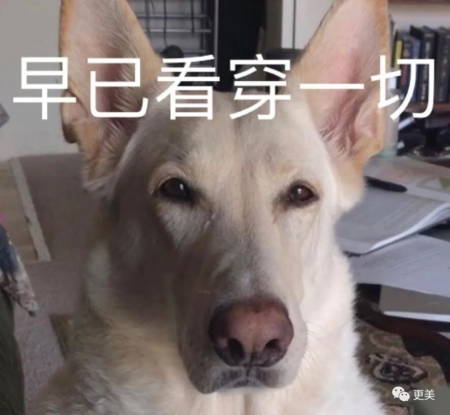 花心渣男郑钧和刘芸的故事，远不止5角恋这么简单！（组图） - 82