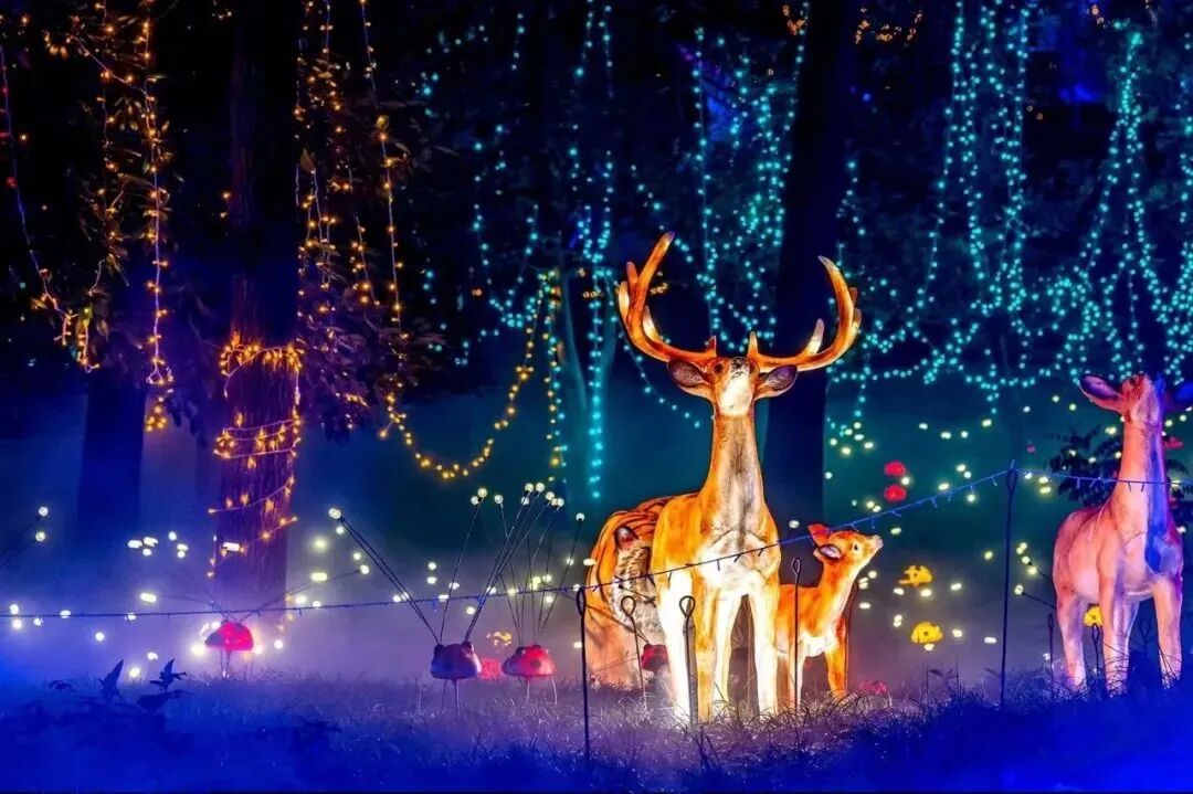 贵港191是什么医院首秀贵港！荷美覃塘 湖美四季梦幻西游主题夜游季9月28日起迎客！门票免费送！_https://www.jmylbn.com_新闻资讯_第34张