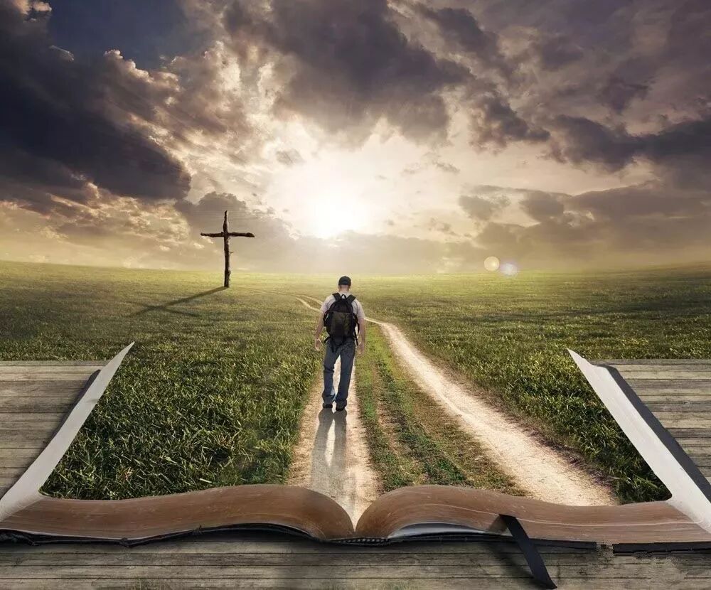 在這荒蕪孤寂的世界 如何看到十字架在發揮作用 橡樹文字工作室 微文庫