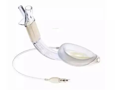 为什么要用喉罩气道管理——喉罩的正确使用_https://www.jmylbn.com_新闻资讯_第7张