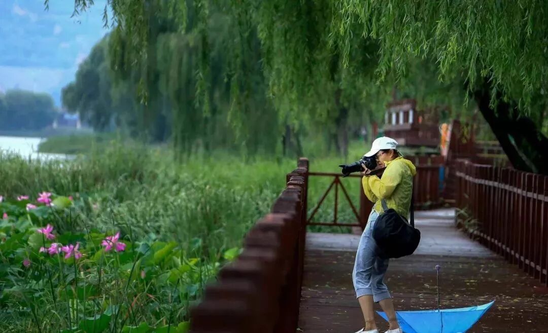 三门峡夏季最美地方在这儿 独一无二！