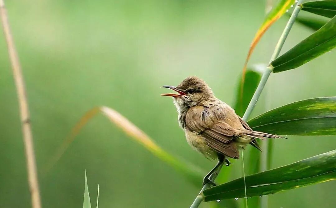 三门峡夏季最美地方在这儿 独一无二！