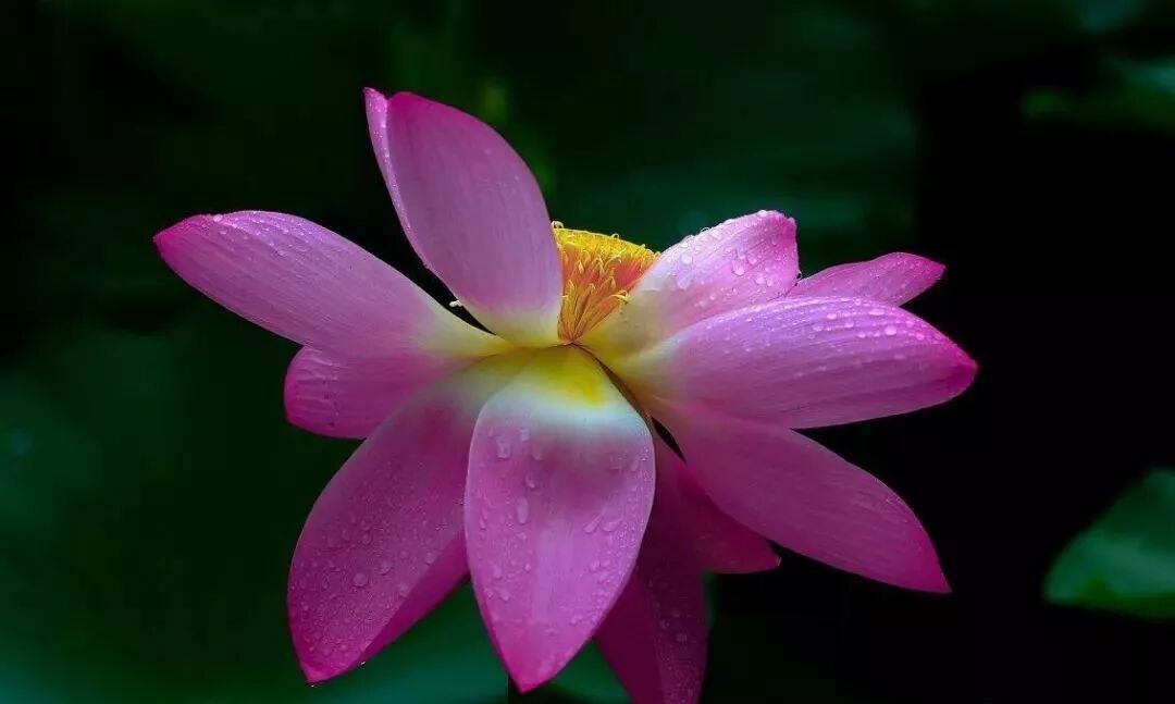 三门峡夏季最美地方在这儿 独一无二！