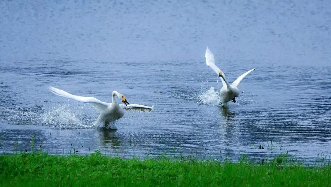三门峡夏季最美地方在这儿 独一无二！