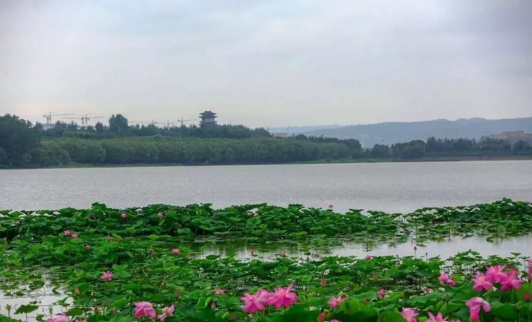 三门峡夏季最美地方在这儿 独一无二！