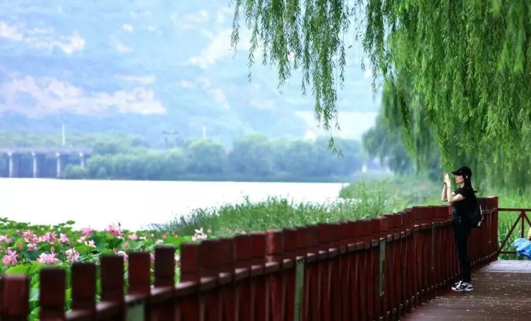 三门峡夏季最美地方在这儿 独一无二！