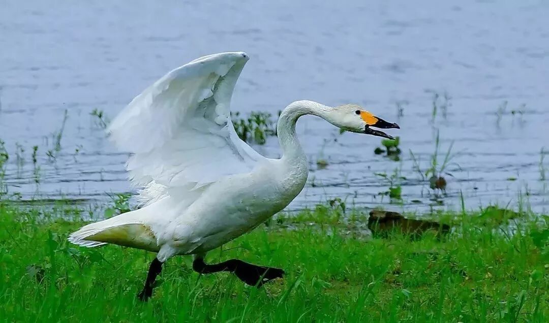 三门峡夏季最美地方在这儿 独一无二！