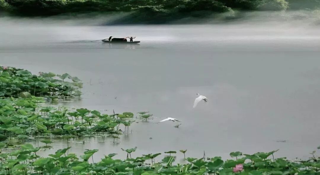 三门峡夏季最美地方在这儿 独一无二！