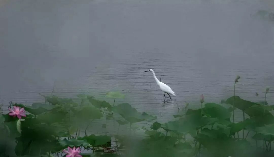 三门峡夏季最美地方在这儿 独一无二！