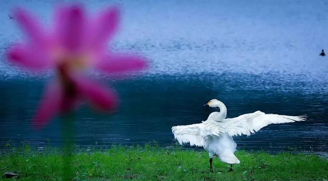 三门峡夏季最美地方在这儿 独一无二！