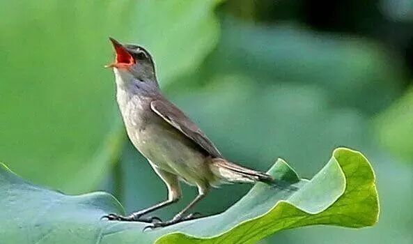 三门峡夏季最美地方在这儿 独一无二！