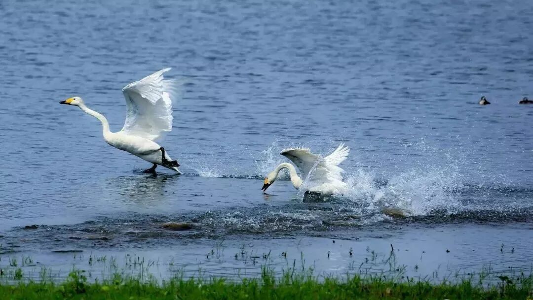 三门峡夏季最美地方在这儿 独一无二！