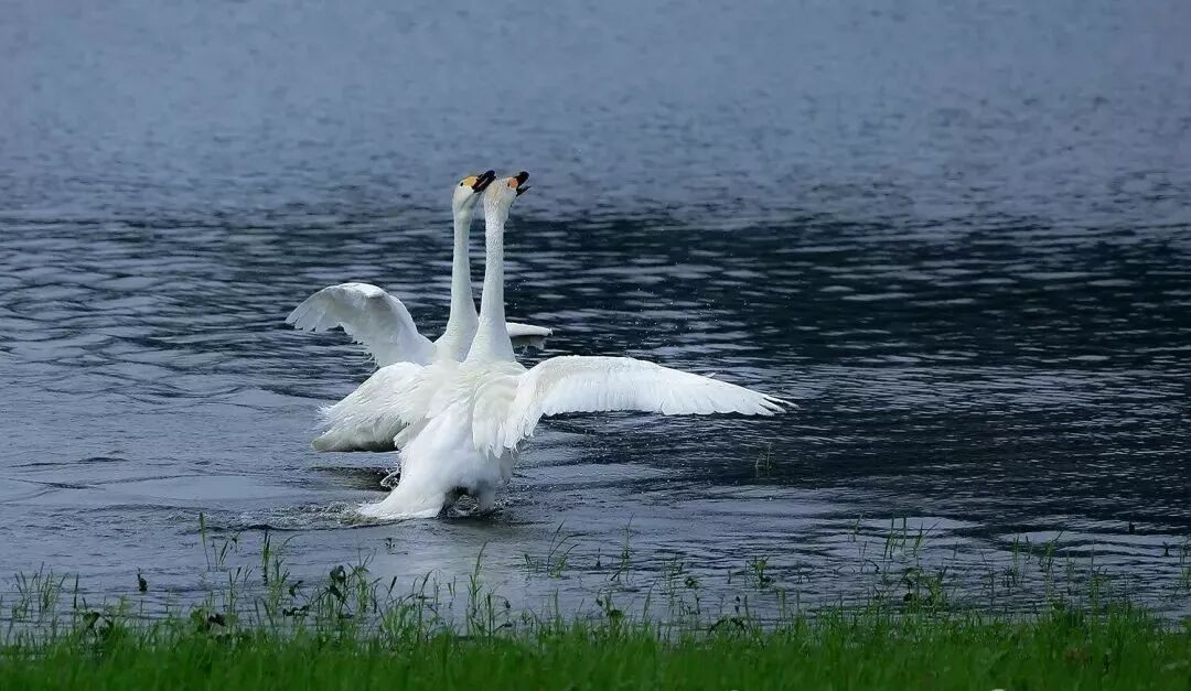 三门峡夏季最美地方在这儿 独一无二！
