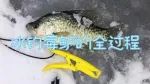 冰钓莓鲈（Crappie）的全过程