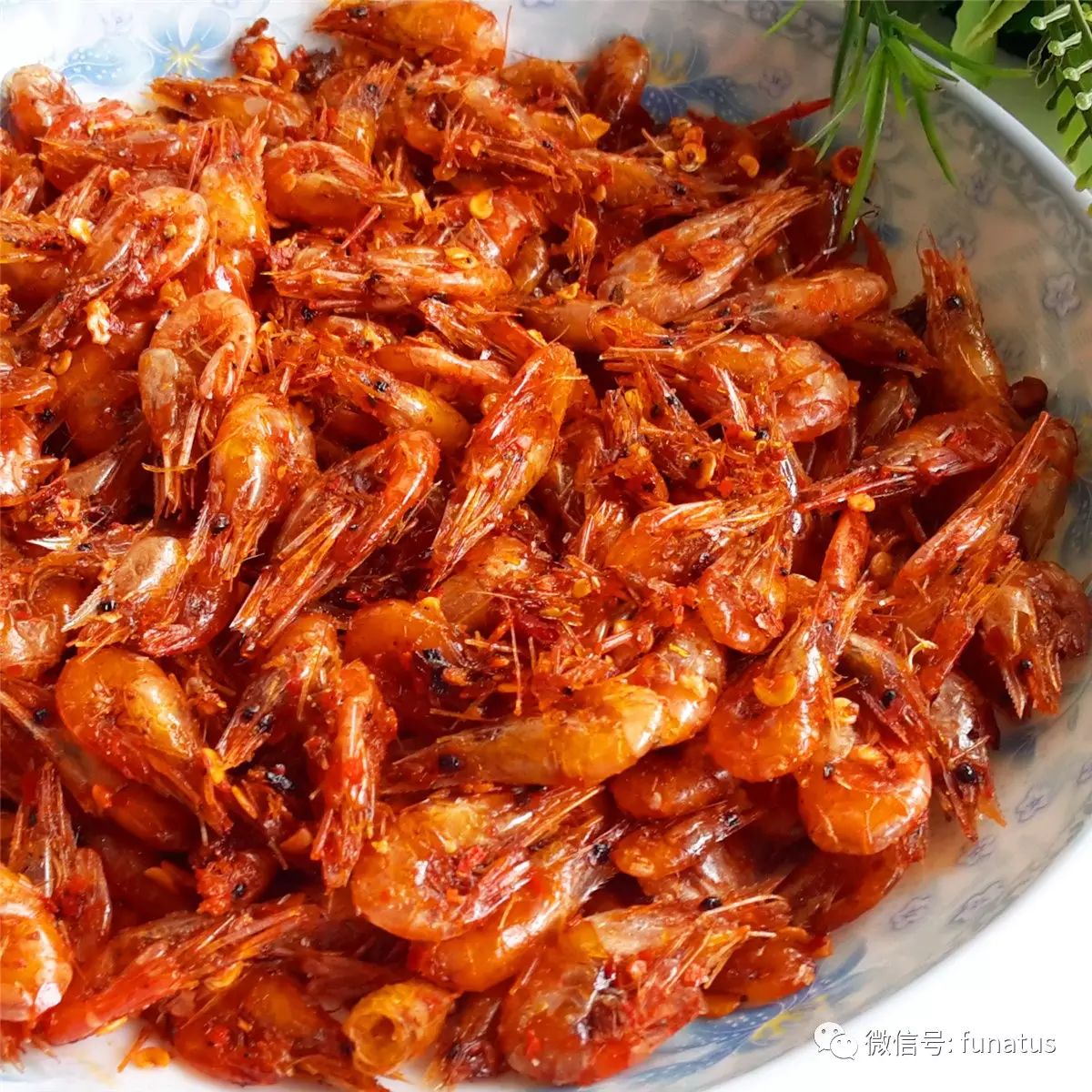 北美捕虾攻略:跟捕螃蟹有点像,阿拉斯加州没限制想拿多少拿多少!