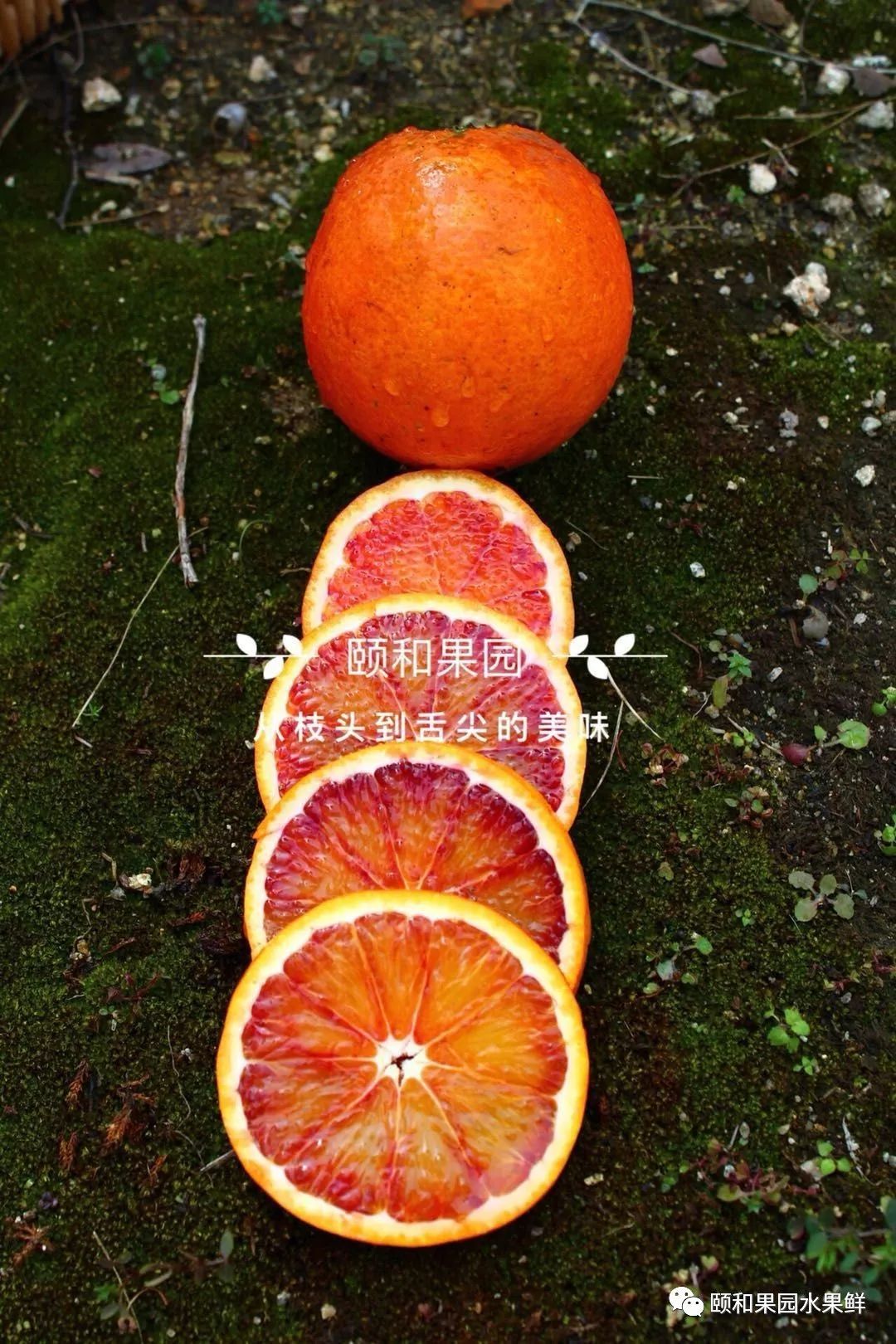 「血橙」不但美容養顏還能《減肥瘦身》 健康 第4張